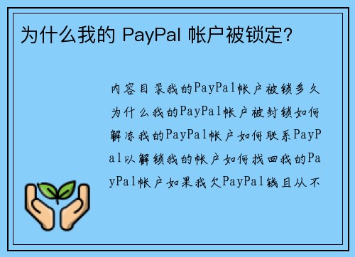 为什么我的 PayPal 帐户被锁定？